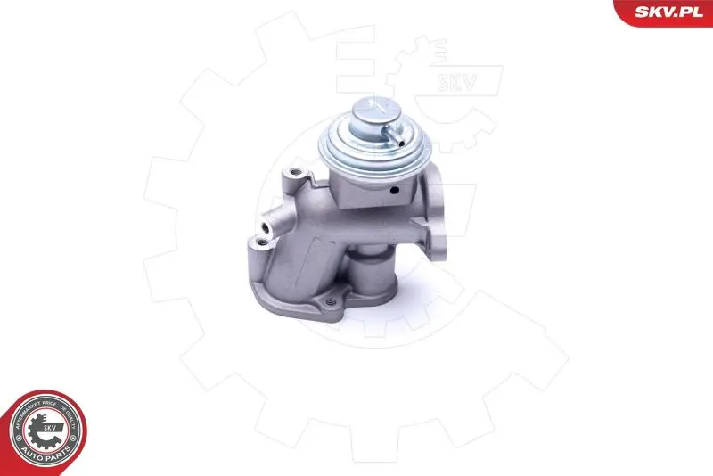 ESEN SKV 14SKV180 Клапан возврата ОГ