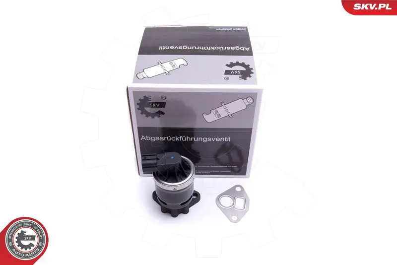 ESEN SKV 14SKV210 Клапан возврата ОГ