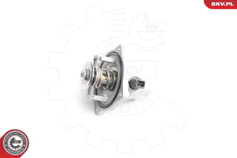 ESEN SKV 20SKV037 Термостат, охлаждающая
