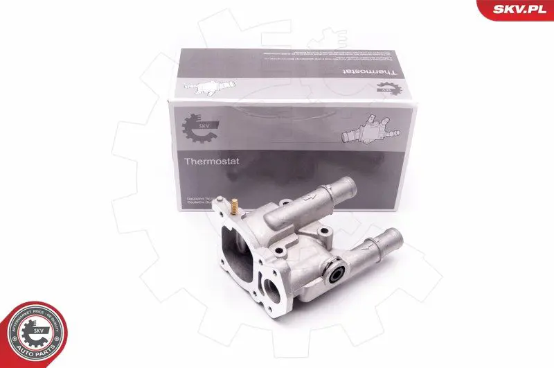 ESEN SKV 20SKV067 Термостат, охлаждающая