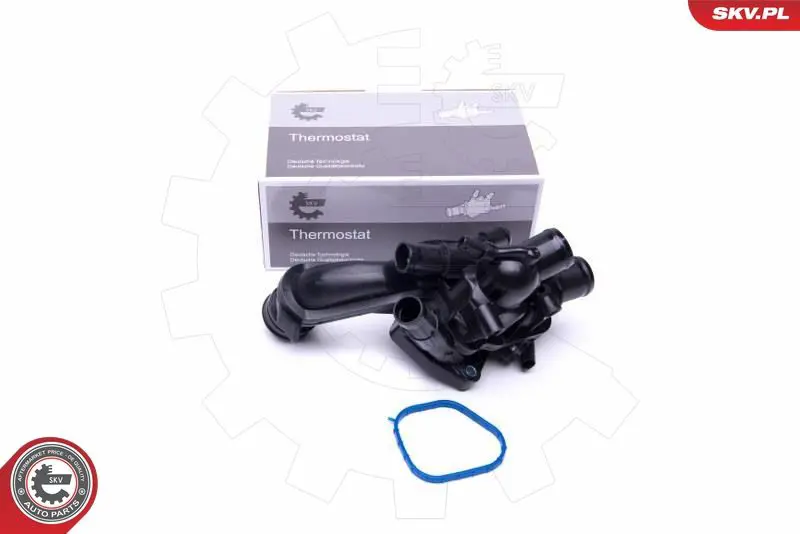 ESEN SKV 20SKV100 Термостат, охлаждающая