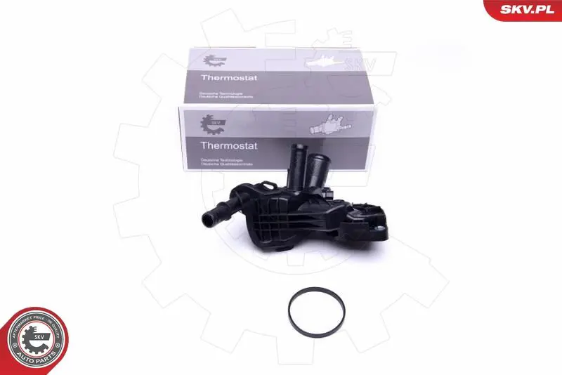 ESEN SKV 20SKV111 Термостат, охлаждающая