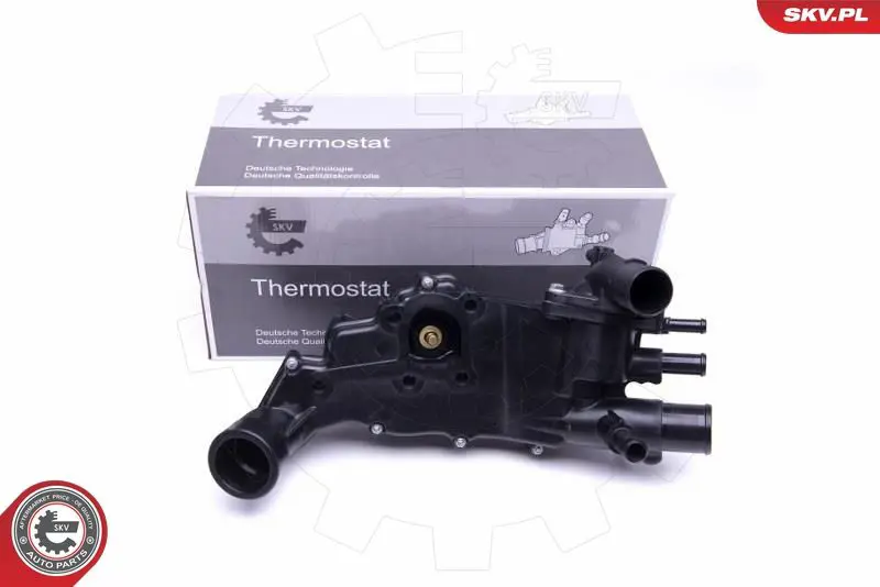 ESEN SKV 20SKV117 Термостат, охлаждающая