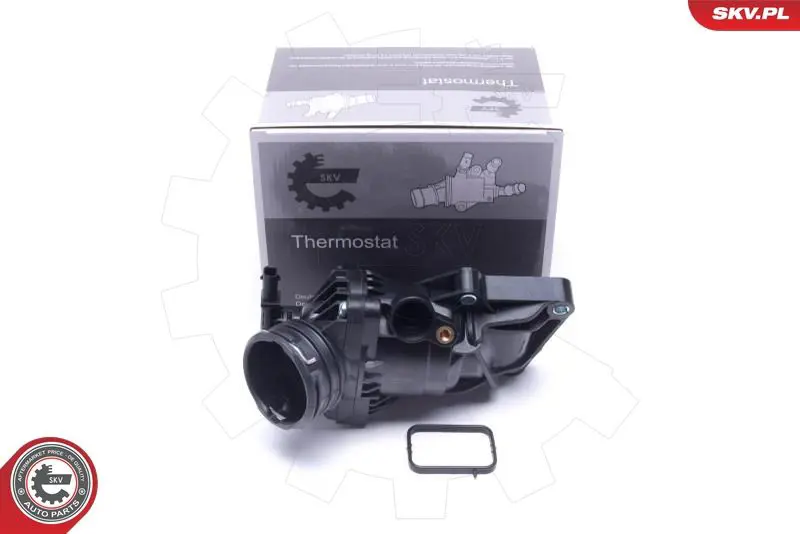 ESEN SKV 20SKV200 Термостат, охлаждающая