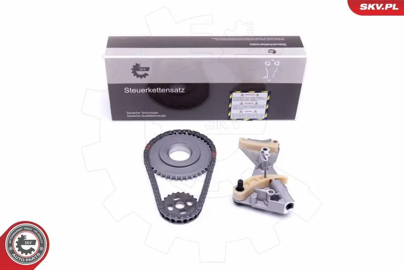 21SKV107 Комплект цепи, привод