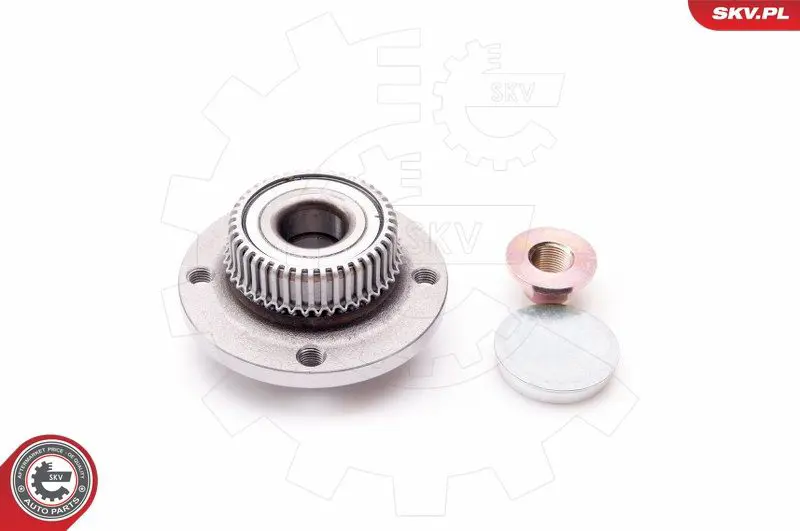ESEN SKV 29SKV012 Комплект подшипника ступицы