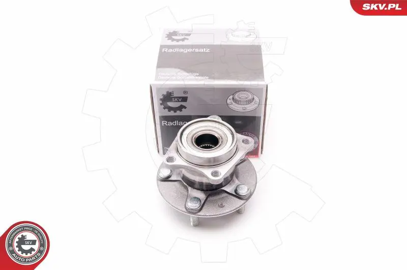 ESEN SKV 29SKV139 Комплект подшипника ступицы