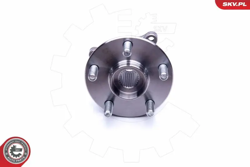 29SKV255 Комплект подшипника ступицы