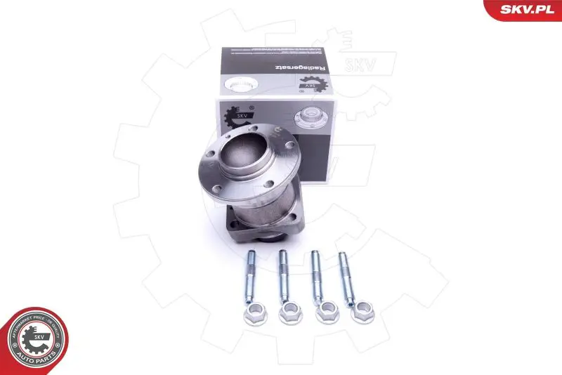 ESEN SKV 29SKV302 Комплект подшипника ступицы