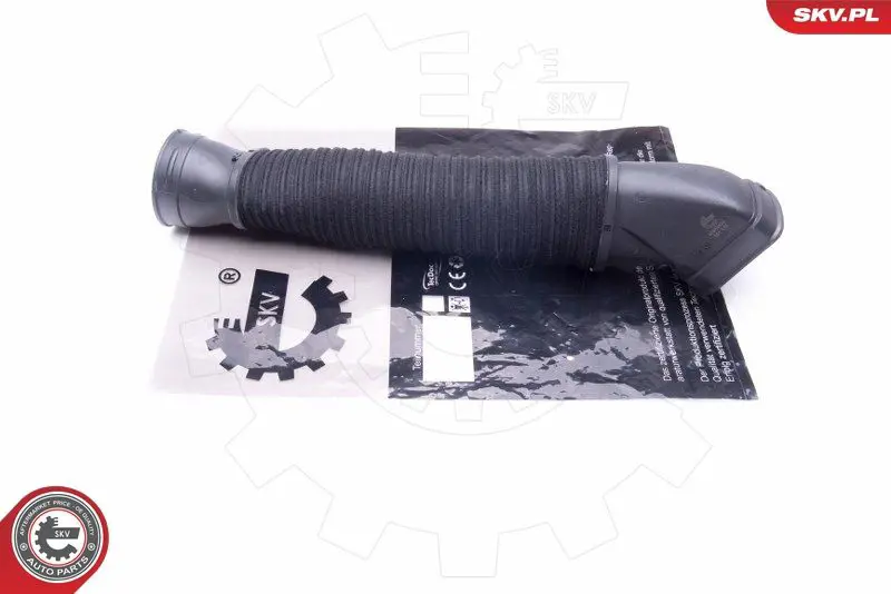ESEN SKV 43SKV920 Рукав воздухозаборника,