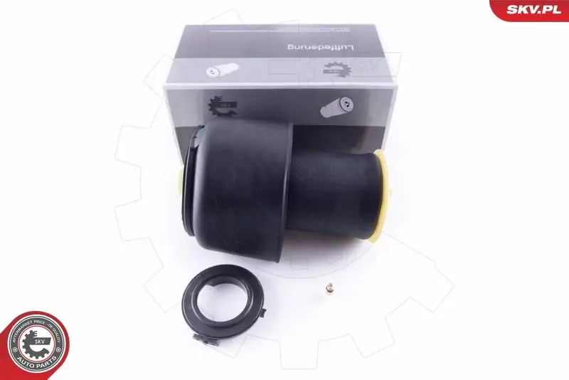ESEN SKV 58SKV026 Пневматическая рессора,