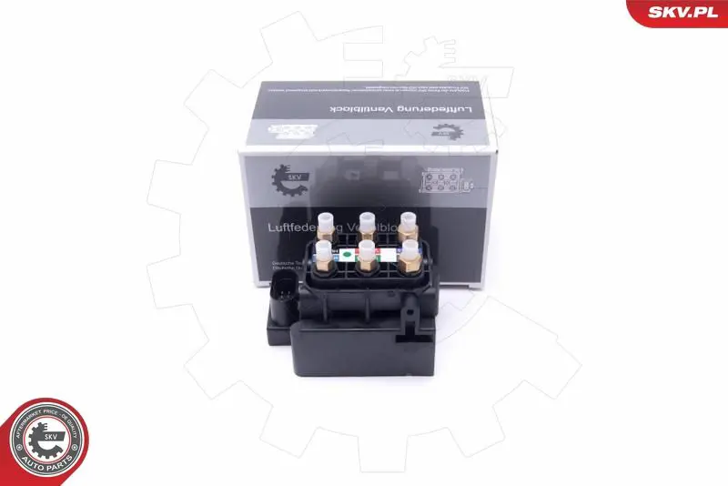 ESEN SKV 93SKV803 Клапан, пневматическая система