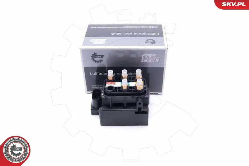 ESEN SKV 93SKV805 Клапан, пневматическая система