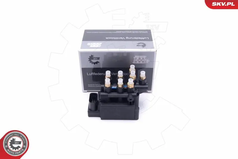 ESEN SKV 93SKV808 Клапан, пневматическая система