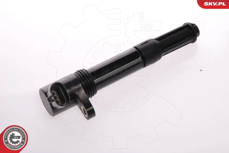 ESEN SKV 03SKV028 Катушка зажигания