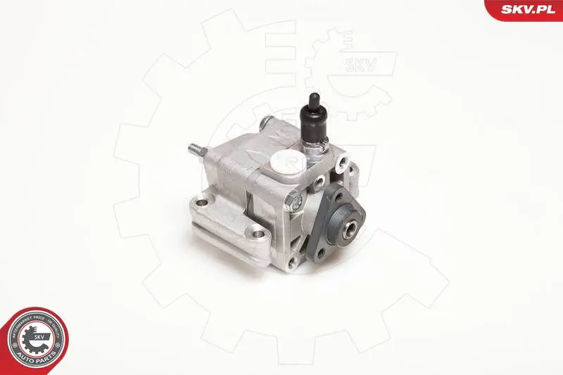 ESEN SKV 10SKV109 Гидравлический насос, рулевое