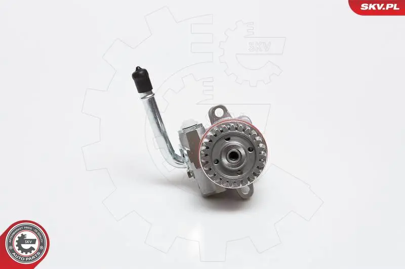 ESEN SKV 10SKV136 Гидравлический насос, рулевое