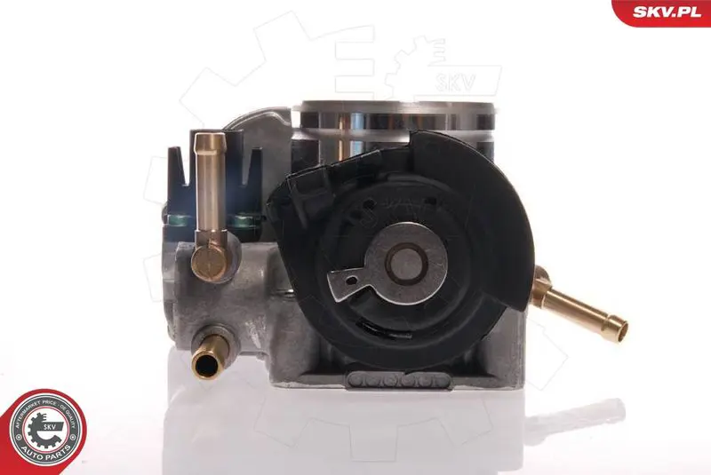ESEN SKV 12SKV025 Корпус дроссельной заслонки