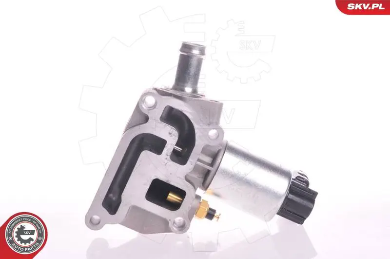 ESEN SKV 14SKV003 Клапан возврата ОГ