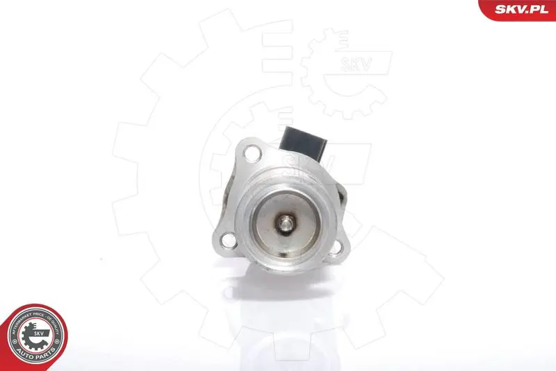 ESEN SKV 14SKV009 Клапан возврата ОГ