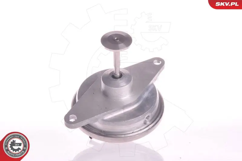 ESEN SKV 14SKV022 Клапан возврата ОГ
