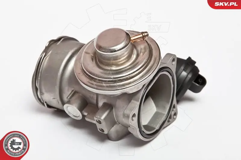 ESEN SKV 14SKV024 Клапан возврата ОГ