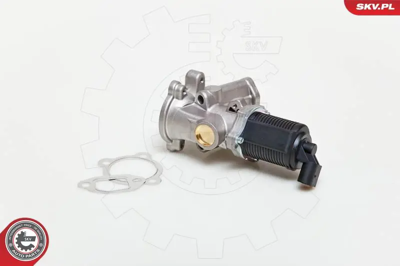 ESEN SKV 14SKV039 Клапан возврата ОГ