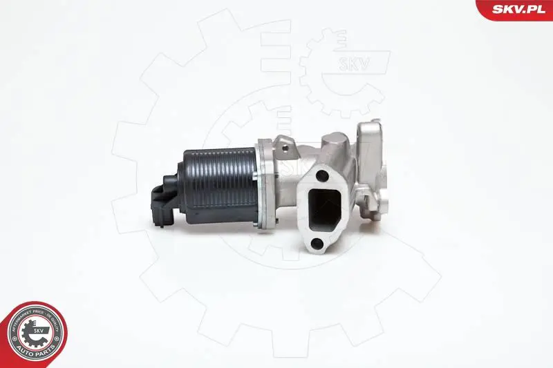 ESEN SKV 14SKV040 Клапан возврата ОГ
