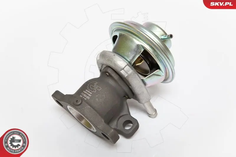 ESEN SKV 14SKV062 Клапан возврата ОГ