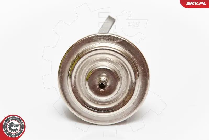 ESEN SKV 14SKV068 Клапан возврата ОГ