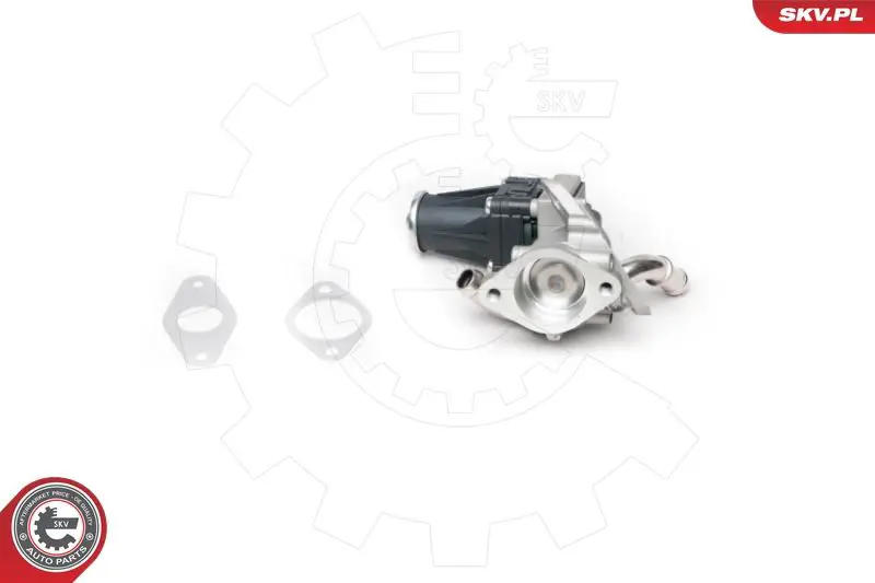 ESEN SKV 14SKV100 Клапан возврата ОГ