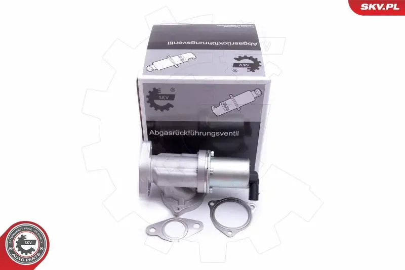 ESEN SKV 14SKV209 Клапан возврата ОГ