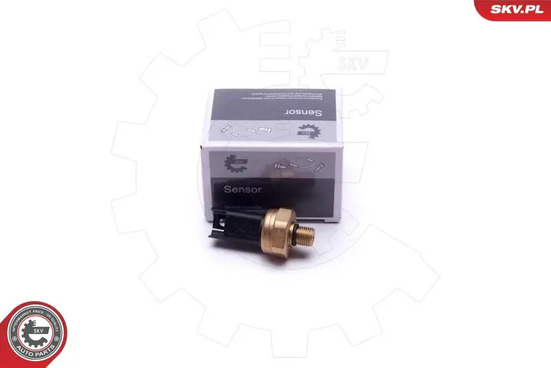 17SKV620 Датчик, давление подачи