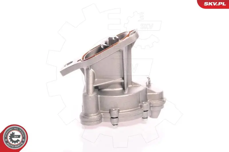 ESEN SKV 18SKV006 Вакуумный насос, тормозная