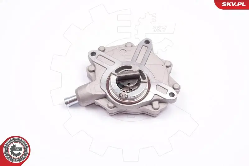 ESEN SKV 18SKV015 Вакуумный насос, тормозная