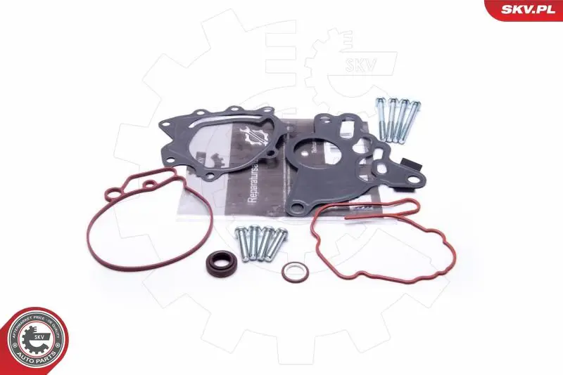 ESEN SKV 18SKV804 Ремкомплект, вакуумный насос