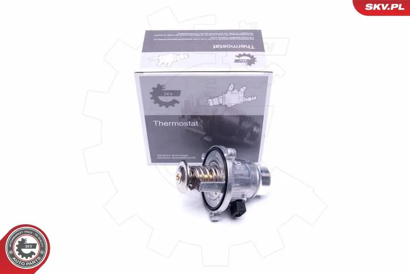 20SKV063 Термостат, охлаждающая