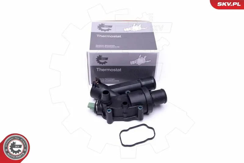ESEN SKV 20SKV118 Термостат, охлаждающая