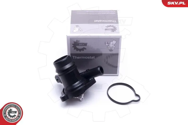 ESEN SKV 20SKV138 Термостат, охлаждающая