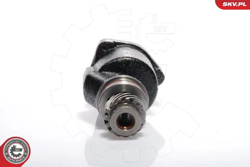 ESEN SKV 18SKV001 Вакуумный насос, тормозная