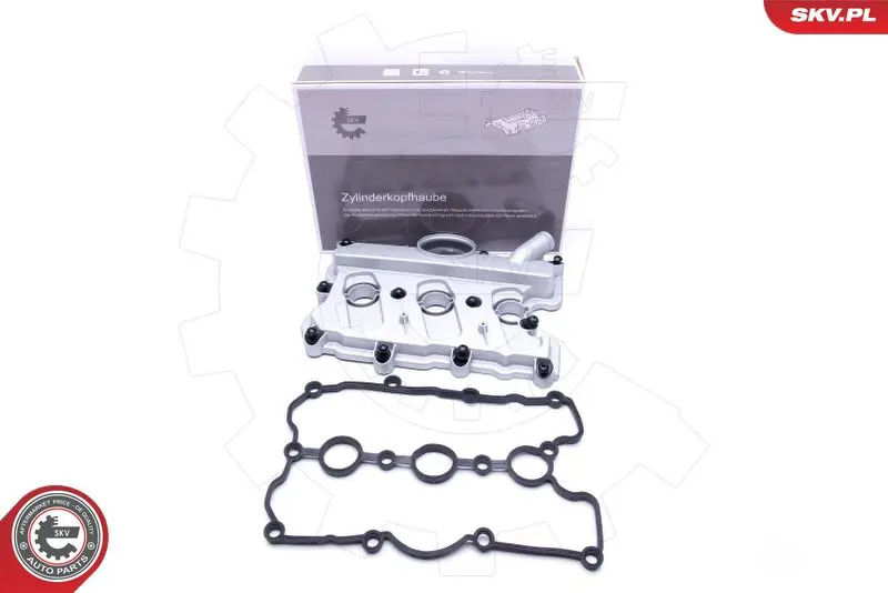 ESEN SKV 48SKV050 Крышка головки цилиндра