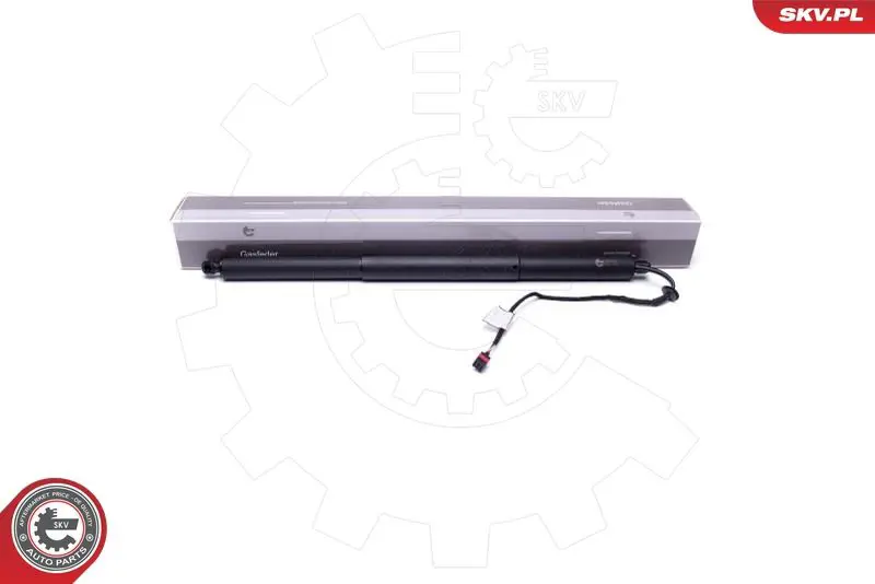 ESEN SKV 52SKV907 Электромотор, задняя дверь