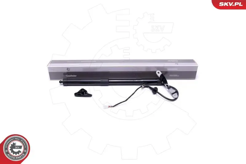 ESEN SKV 52SKV937 Электромотор, задняя дверь