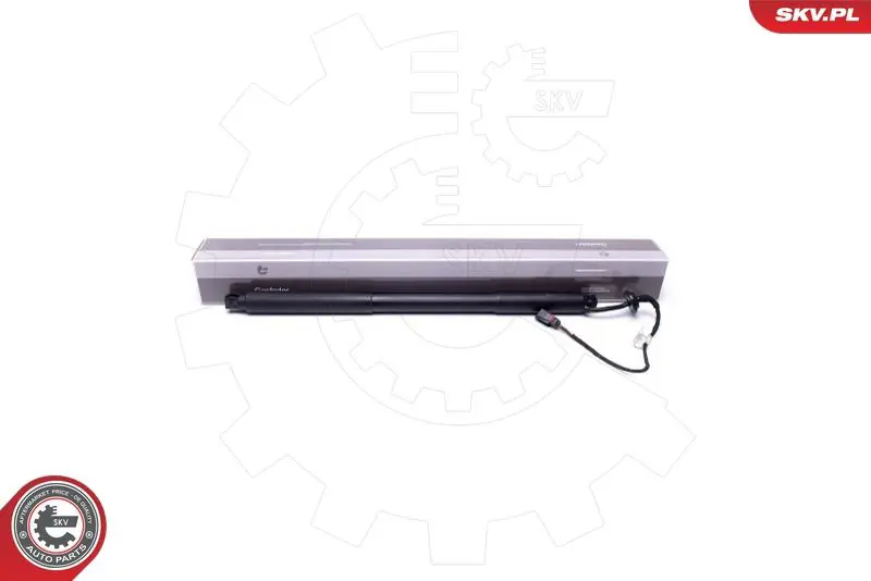 ESEN SKV 52SKV939 Электромотор, задняя дверь