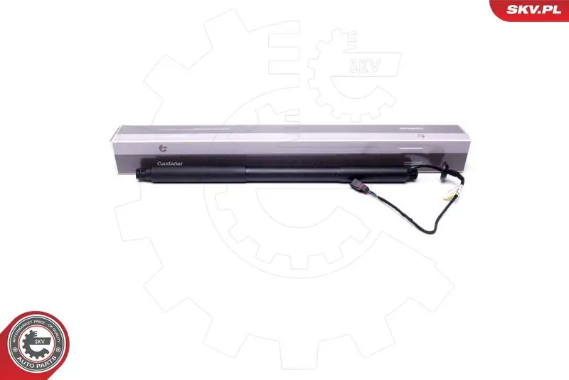 ESEN SKV 52SKV940 Электромотор, задняя дверь