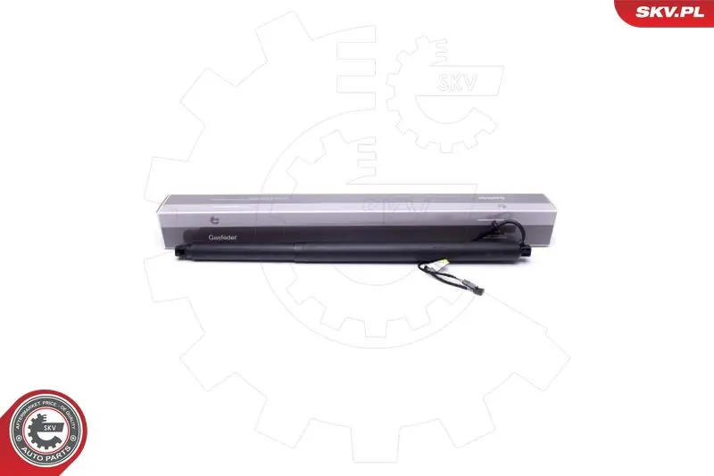 ESEN SKV 52SKV945 Электромотор, задняя дверь