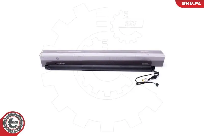 ESEN SKV 52SKV946 Электромотор, задняя дверь