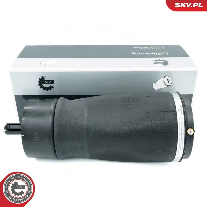 ESEN SKV 58SKV076 Пневматическая рессора,