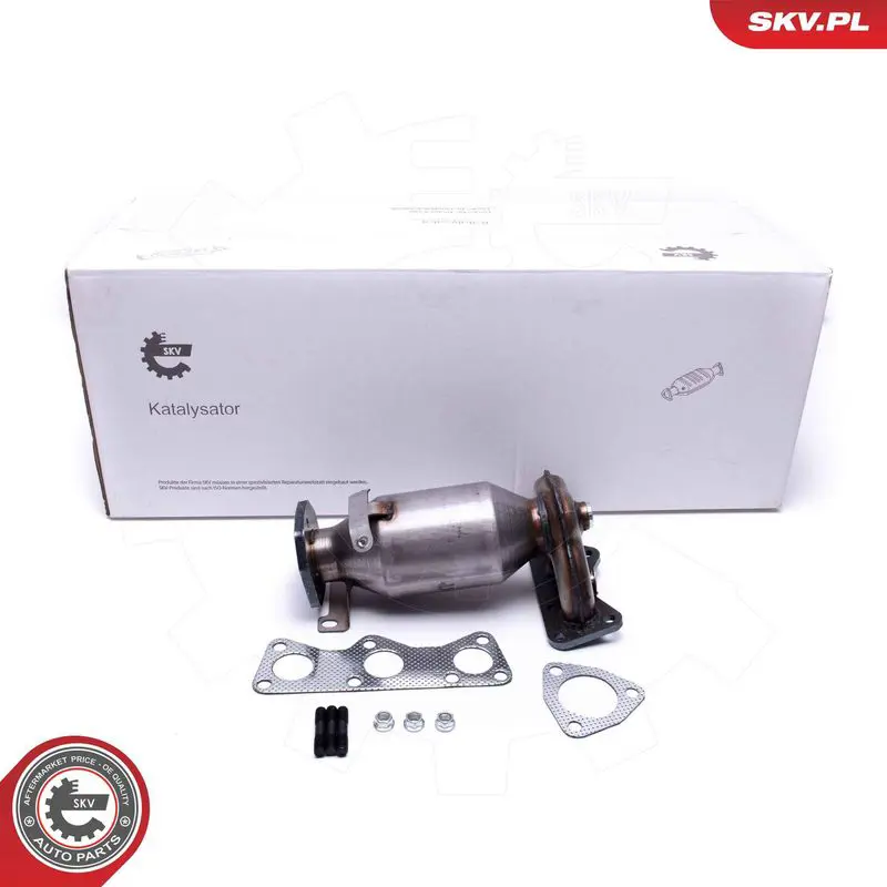 62SKV005 Катализатор