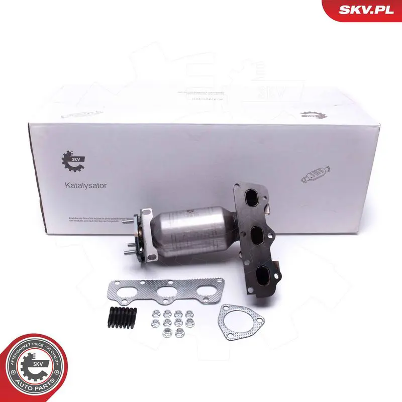 62SKV007 Катализатор